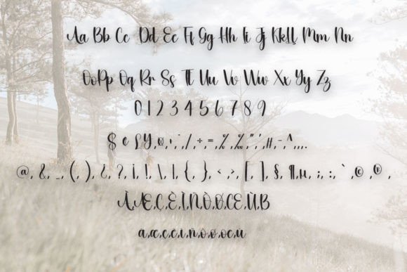 Husband Font Poster 4