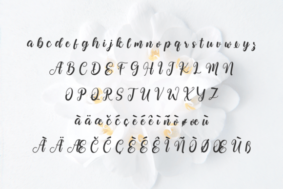 January Font Poster 7