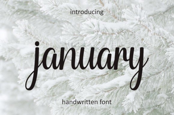 January Font Poster 1