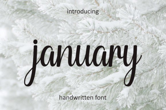 January Font Poster 1