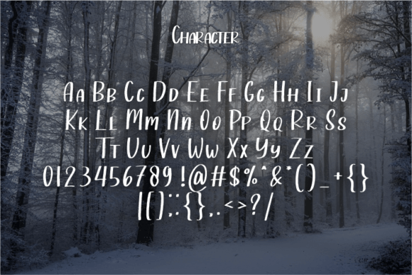 January Font Poster 2