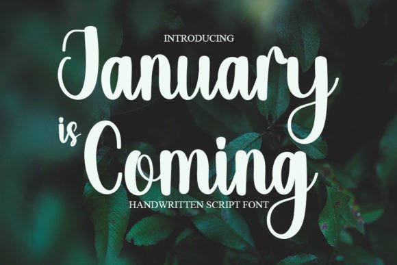 January is Coming Font Poster 1