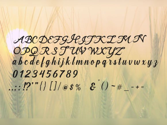 Kaira Skine Font Poster 2