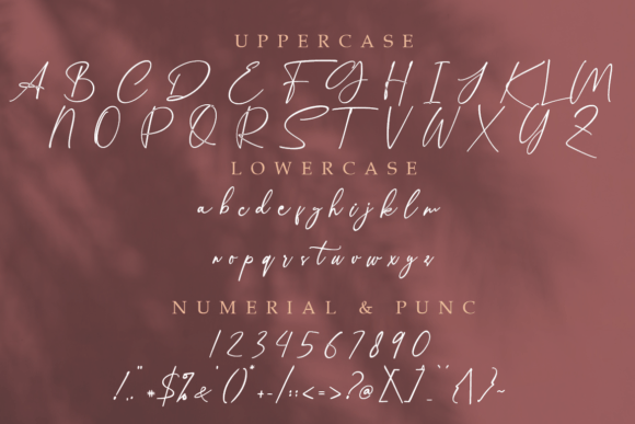 Kaitlyn Font Poster 9