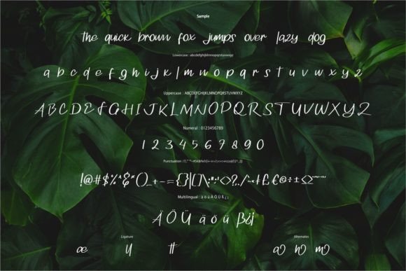 Kallina Font Poster 6