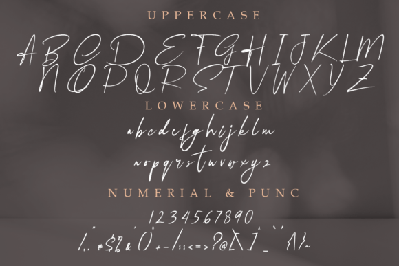 Katherina Font Poster 5