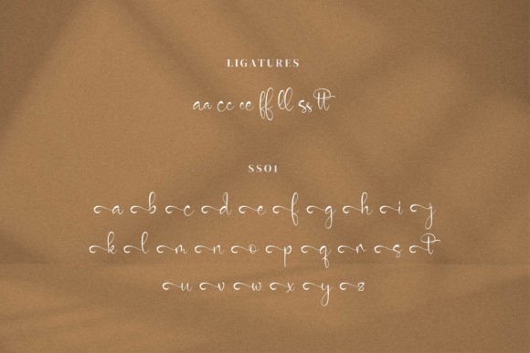 Kobayashi Henrietta Font Poster 9