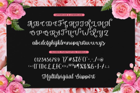 Kotadaila Font Poster 5