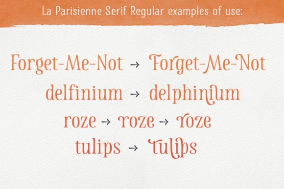 La Parisienne Family Font Poster 7