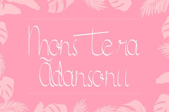 Lachicha Font Poster 2