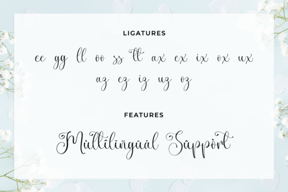 Lasignora Font Poster 11