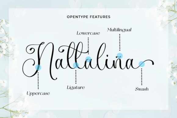 Lasignora Font Poster 8