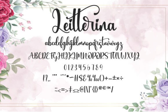 Leitterina Font Poster 6