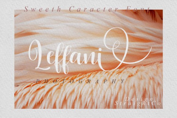 Leonorde Font Poster 8