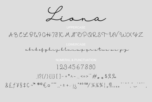 Liona Font Poster 4