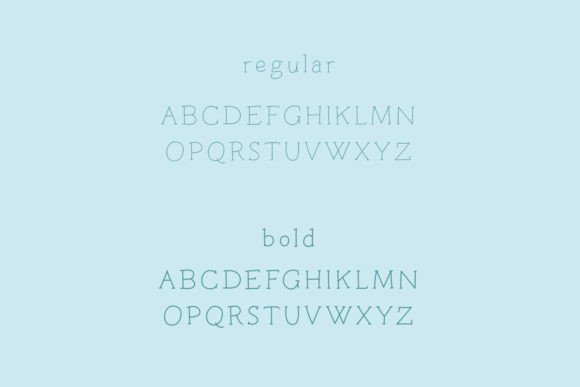 Little Billy Font Poster 12