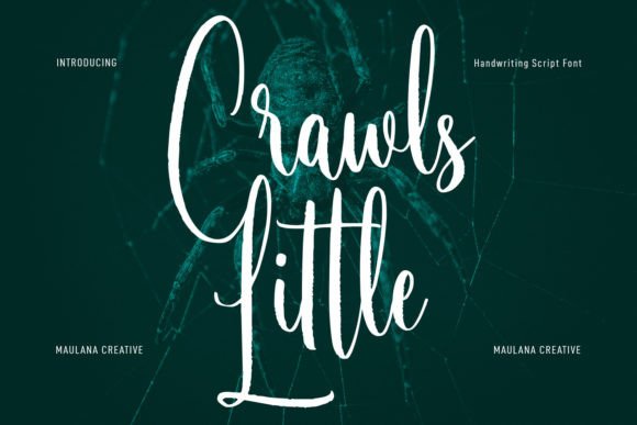Little Crawls Font
