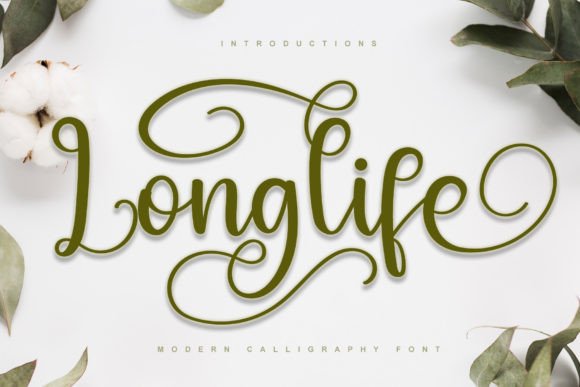 Longlife Font Poster 1