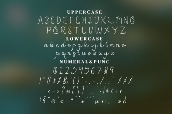 Lunally Font Poster 12