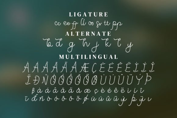 Lunally Font Poster 13