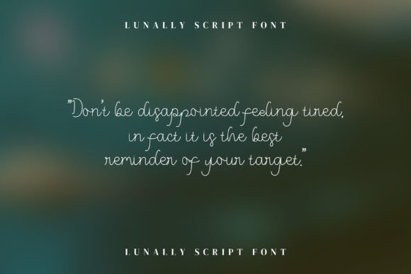 Lunally Font Poster 14