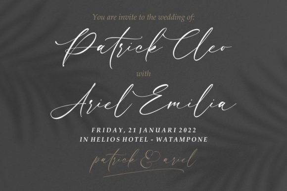 Luxury Modish Font Poster 7