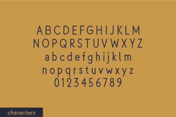 Mailstone Font Poster 2