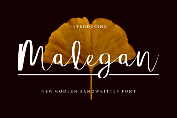 Malegan Font