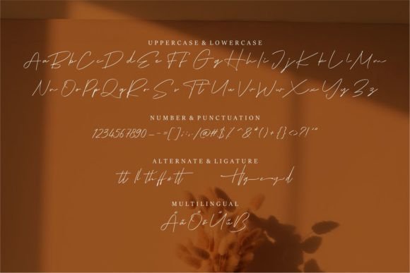 Matiane Font Poster 6