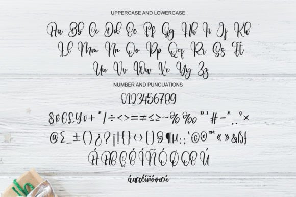 Melody Christmas Font Poster 7