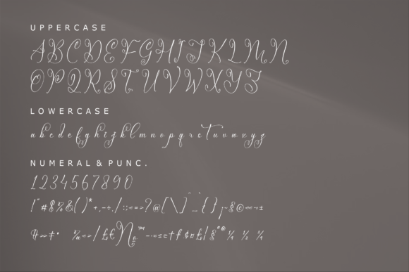 Mendikari Font Poster 13