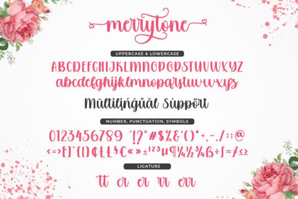 Merrytone Font Poster 5