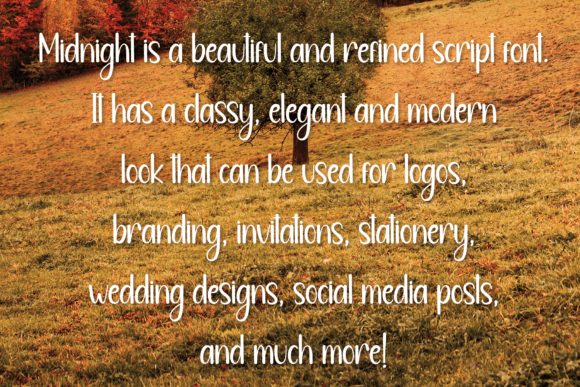 Midnight Font Poster 5