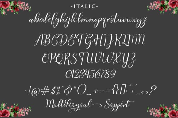 Mitha Alisha Font Poster 9