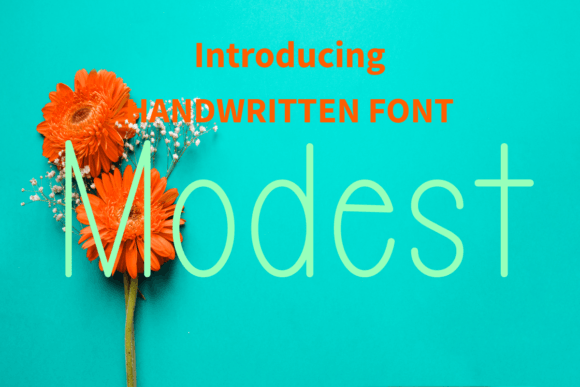 Modest Font Poster 1