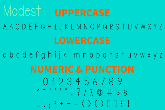 Modest Font Poster 5