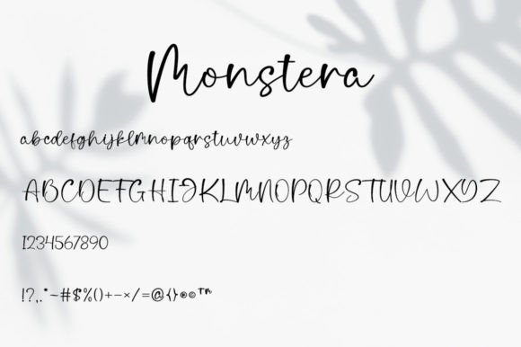 Monstera Font Poster 7
