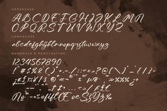 Moraless Chestera Font Poster 13