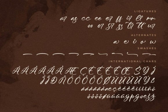 Moraless Chestera Font Poster 14