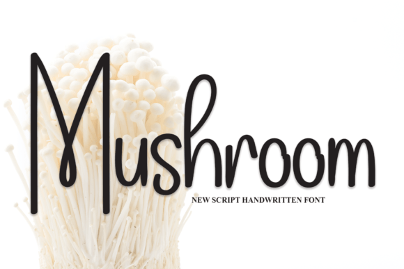 Mushroom Font