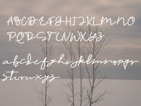 Nabuli Font Poster 3