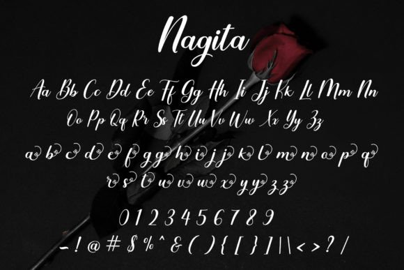 Nagita Font Poster 6