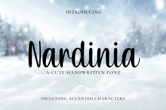 Nardinia Font Poster 1