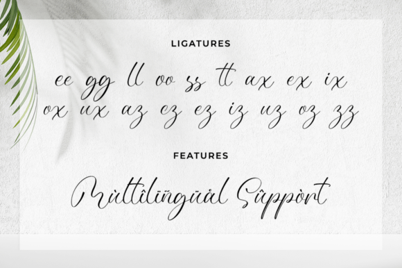 Nathelyne Font Poster 11