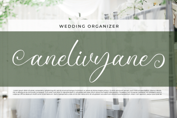 Nathelyne Font Poster 3