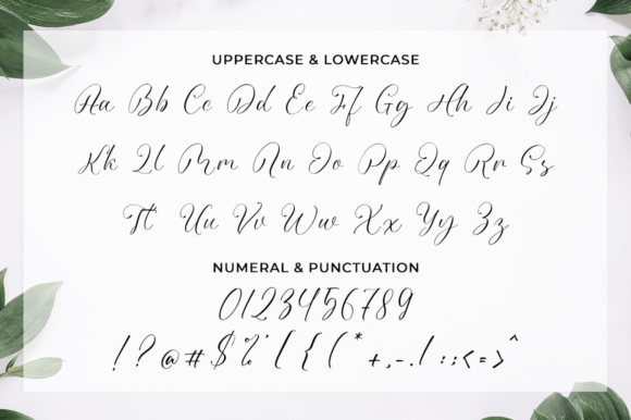 Nathelyne Font Poster 9