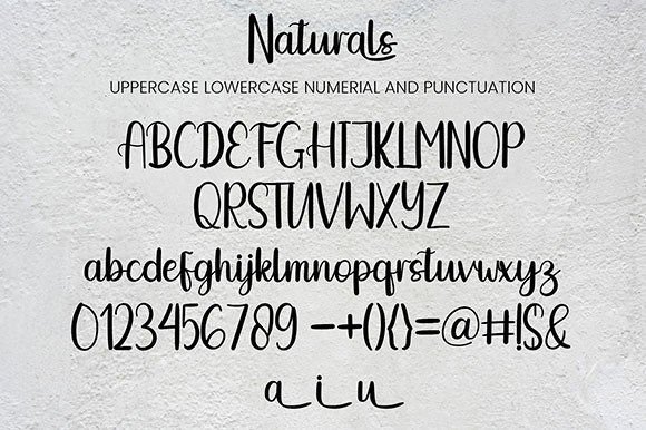 Naturals Font Poster 7
