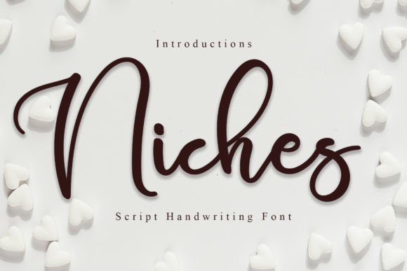 Niches Font Poster 1