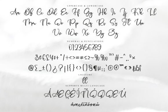 Niches Font Poster 6