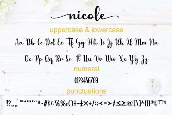 Nicole Font Poster 6
